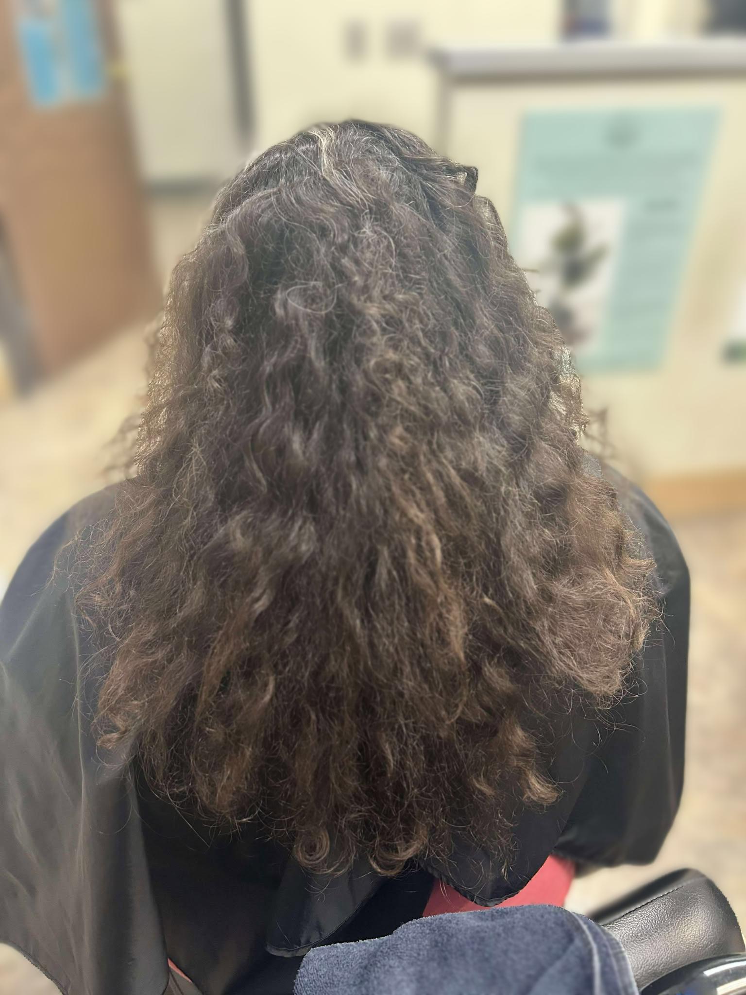 Curly hair before taming service.